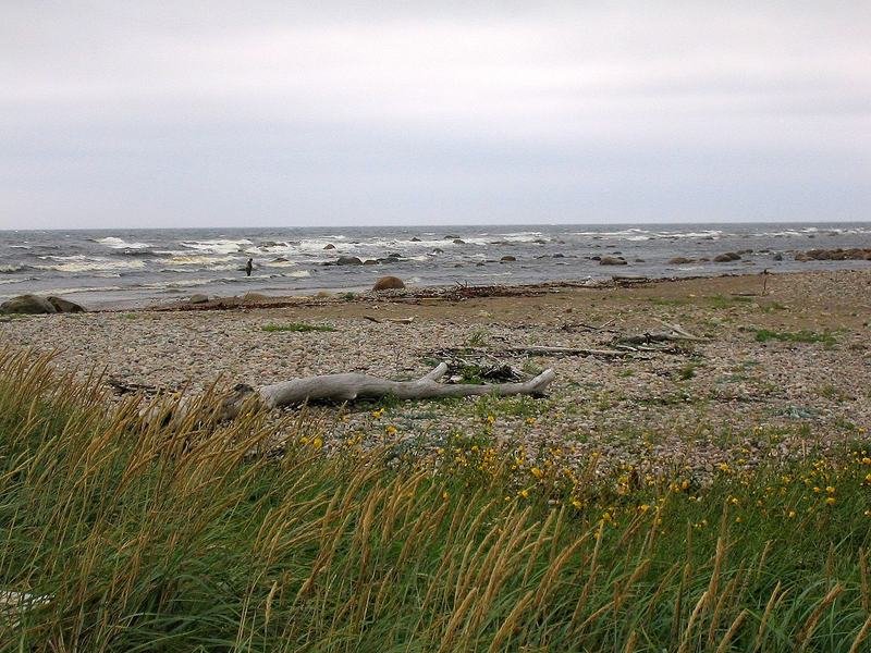 Gros Morne coastline