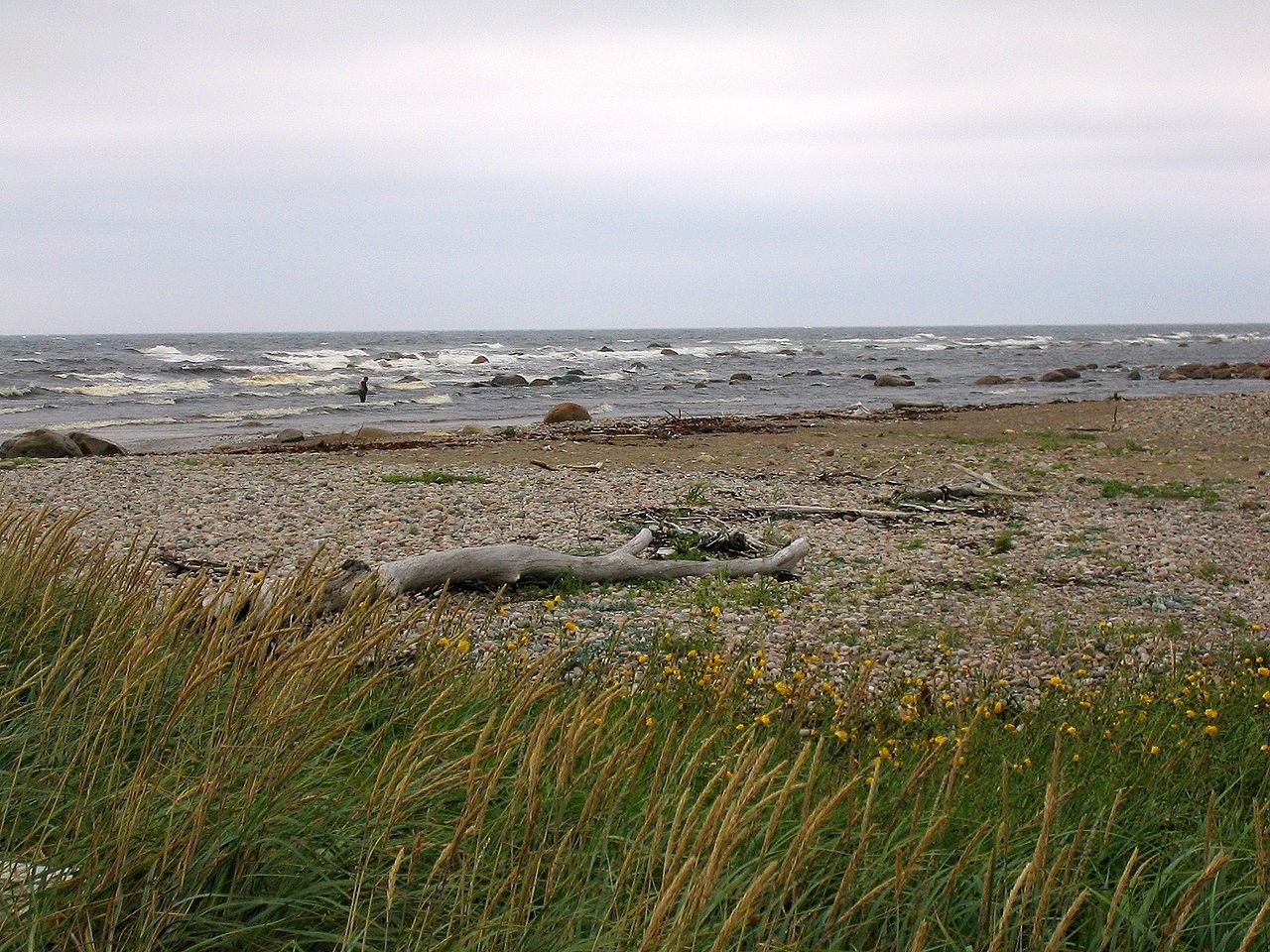 Gros Morne coastline